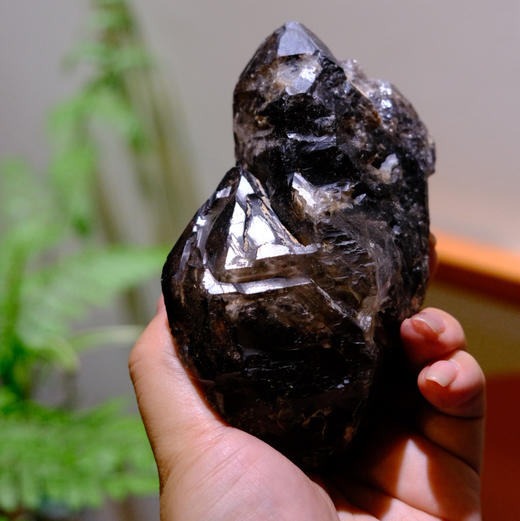 骸骨｜城堡 商品图1