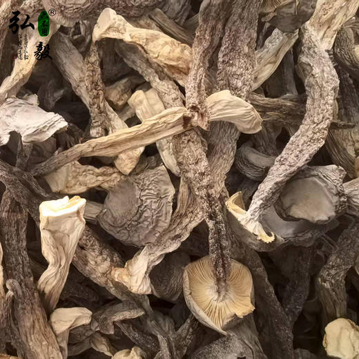 【弘毅六不用生态农场】六不用 鹿松茸 商品图1