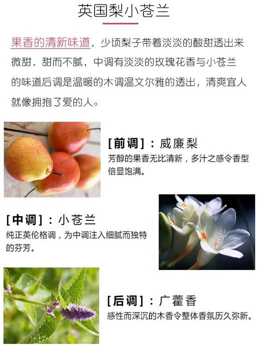 JoMalone祖玛珑/祖马龙蓝风铃/蓝色风铃草100ml女士淡香水清新浪漫花香（ZT*LL） 商品图9