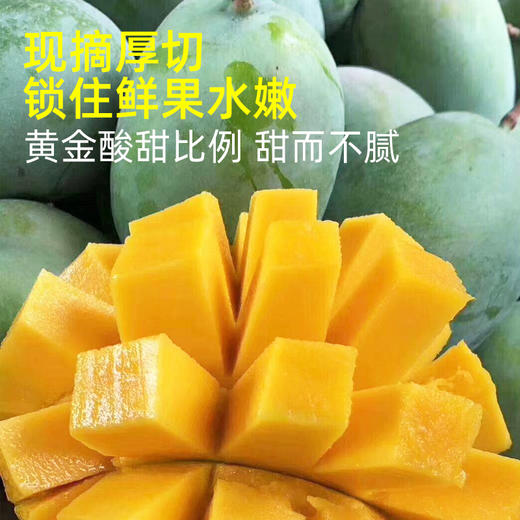 米伊小姐·泰国风味芒果干 100g*6  泰式风味 保留热带果香 果肉厚实有嚼劲 商品图2