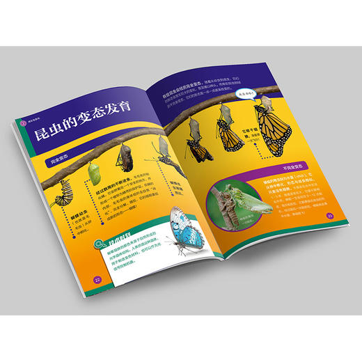 《了不起的生物》 商品图9