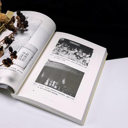 中华药商：中国和东南亚的消费文化 获列文森中国研究图书奖 商业史 中国工人出版社 商品图4