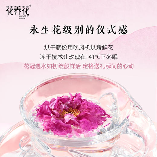 水墨画版 冻干/烘干罐装玫瑰花茶 商品图2