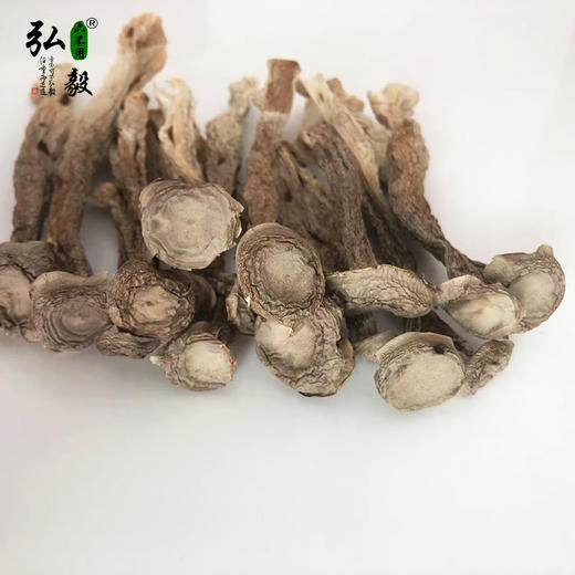 【弘毅六不用生态农场】六不用 鹿松茸 商品图0