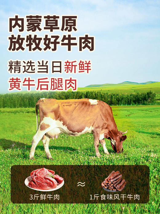 食味的初相*内蒙古风干牛肉250g*1袋/2袋 0添加剂 0色素 原味、孜然、辣味 三种口味可选 商品图1