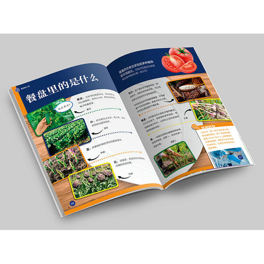 《了不起的生物》 商品图13