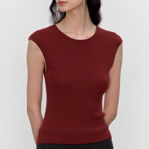 东黎 • 我不被驯化 华尔街 山羊绒女士秋季圆领半袖 5353 商品图6