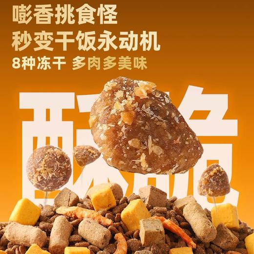 冒险与它全价8拼冻干主粮猫粮犬粮1.5kg 整箱8袋 自有工厂直售 商品图4