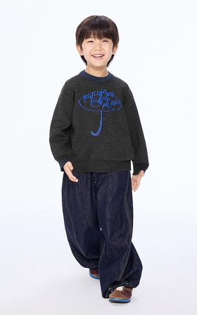 jnby  25年秋款  长袖套头毛衫  1P8311850