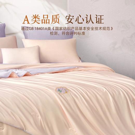 百丽丝家纺A类蚕丝被苏博联名针织蚕丝四季/冬厚/二合一被严选 商品图0