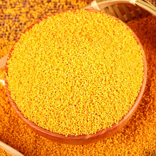 天地粮人 东北红谷子小米 礼袋装 （350g*5包 ） 商品图6