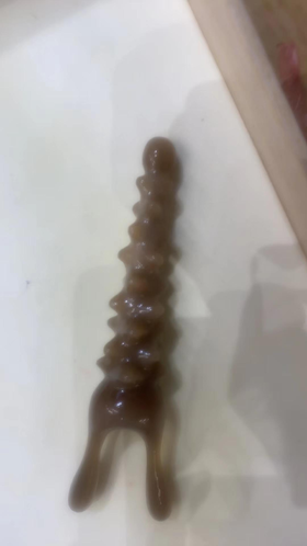 海参美鼻