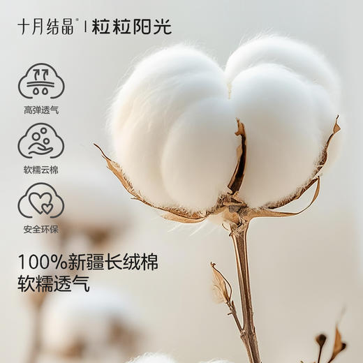 粒粒阳光儿童家居服纯棉儿童睡衣2025新秋季婴儿衣服分体 商品图1