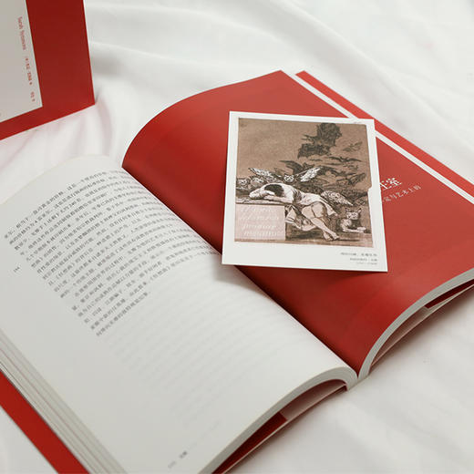 艺术与观念17：戈雅 结合历史文化语境，详细解析戈雅的跌宕生活与奇异创作 商品图2