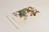江寒汀百鸟百卉画册  本社 编 商品缩略图3