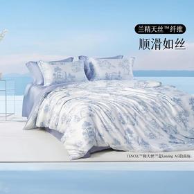 水星集团百丽丝家纺60支天丝四件套