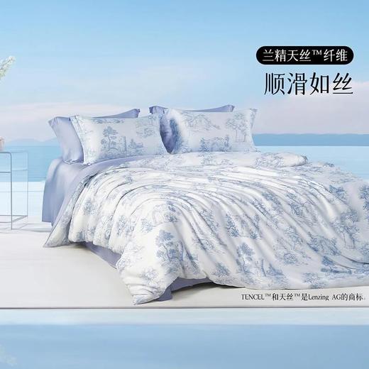 水星集团百丽丝家纺60支天丝四件套 商品图0