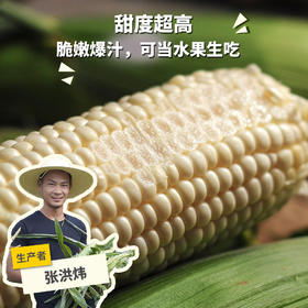 生态水果玉米 | 合作生产*Eco-Fruit corn  | Coproduction