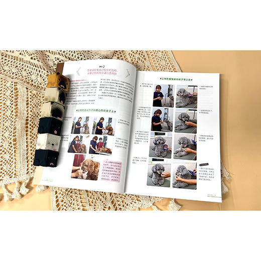 宠物狗美容图解教程：清洁、护理、造型 商品图3