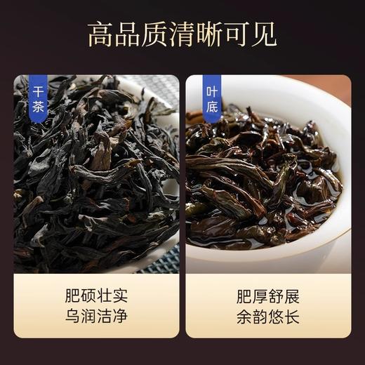 华祥苑 星时光 特级 兰香水仙 武夷岩茶 茶叶 128g 商品图4