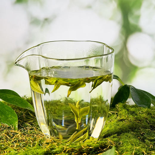 春序晓露鲜白茶150克 商品图3