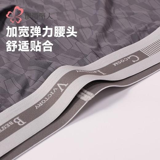 都市丽人内裤男士内裤锦纶内裤明筋平角内裤男内裤FKHC55 商品图6