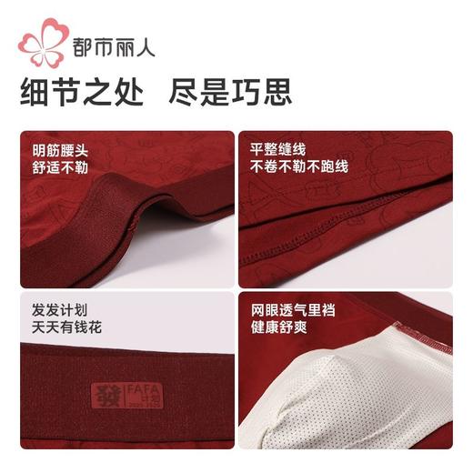 都市丽人内裤男士内裤50S棉拉架内裤明筋平角内裤男内裤FKHC48 商品图7