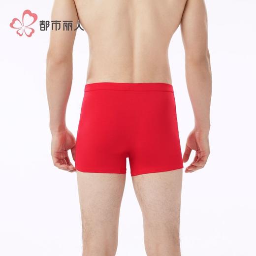 都市丽人内裤男士内裤40S棉拉架内裤氨纶头平角内裤男内裤FKHC49 商品图3