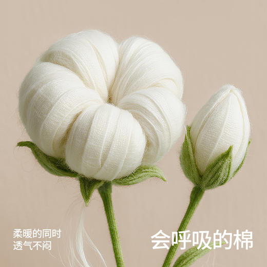 贝肽斯儿童T恤纯棉2025新款秋装男女童上衣宝宝长袖婴儿打底衫 商品图1