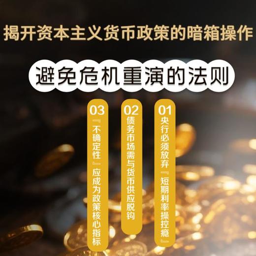 失控的炼金术 货币政策与通胀危机 商品图2