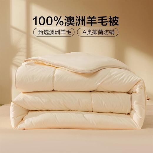 100%澳洲羊毛被 A类加厚冬被保暖抗菌防螨 商品图0