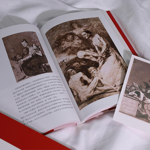 艺术与观念17：戈雅 结合历史文化语境，详细解析戈雅的跌宕生活与奇异创作 商品图3