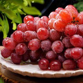 【顺丰快递】湖南东山一级红提 粒粒爆汁 纯甜无酸CHN