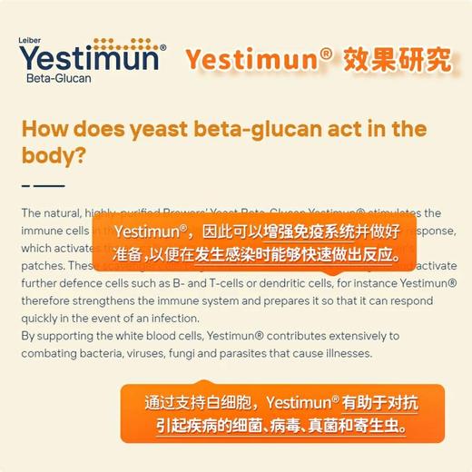 法国Eric Favre艾瑞可 · 儿童复合维生素多维vc补锌抵抗力宝宝 30种营养素 婴幼儿免疫力｜保税 商品图4