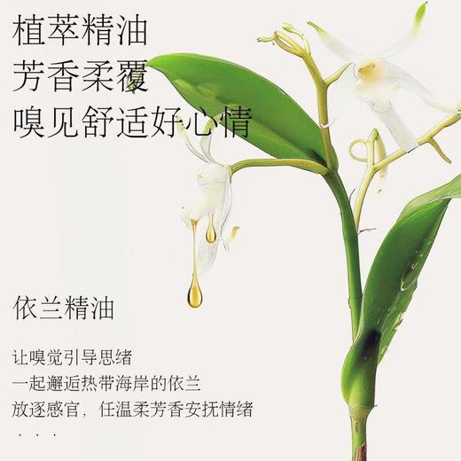 植护 馥玉晚香香水洗衣液2kg 商品图4