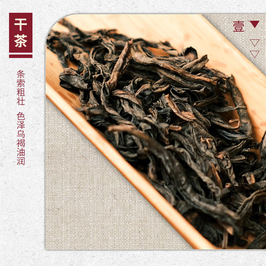 【山纯限品】2025年024水帘洞牛角洞老枞水仙17g 商品图2