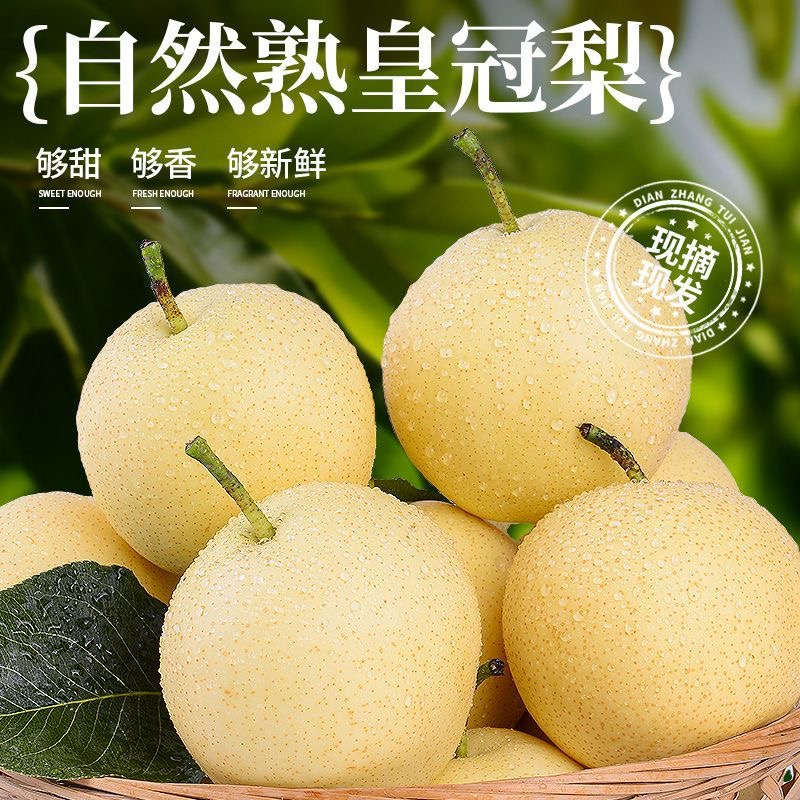 【现摘现发❗️正宗河北皇冠梨】洁白如玉，脆甜多汁，皮薄肉厚，超好吃！整箱脆梨当季皮薄新鲜水果多汁梨子酥脆