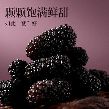 楼兰蜜语 黑桑葚干225g*2 罐装 蜜饯果干 桑果桑椹子 无沙 /休闲食品 /蜜饯果干 /其他蜜饯果干 商品图1