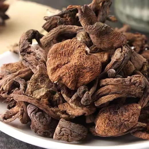 东北榛蘑基地直邮 商品图1