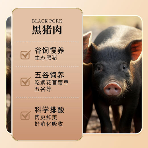 御小笼早餐小笼包 商品图12