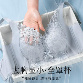 纤纱柔羽 文胸(VIP)【蜂巢洞洞杯 轻薄透气】大胸显小显瘦收副乳防垂蕾丝文胸