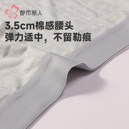 都市丽人内裤男士内裤锦纶内裤明筋平角内裤男内裤FKHC51 商品图5