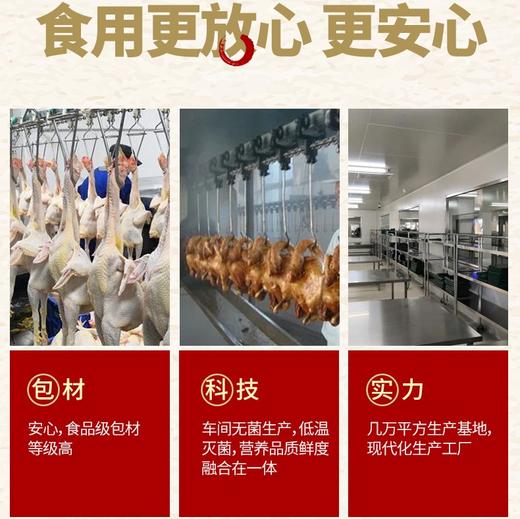 【79.9到手3只！】武训非遗烧鸡 肉嫩骨酥软烂入味香味扑鼻 优选三黄鸡老方老汤7小时慢卤 即食包装食用方便 商品图5