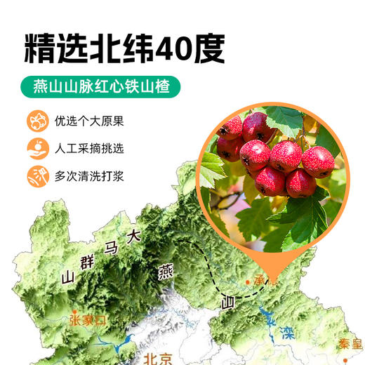 口水芽儿原味山楂条120g 商品图2