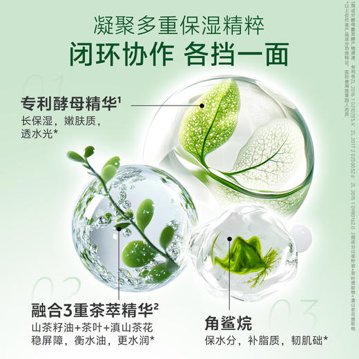 婷美小屋绿茶籽烷美水分菁华霜 商品图2