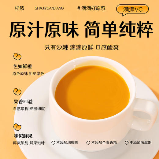 600沙棘原浆 商品图3