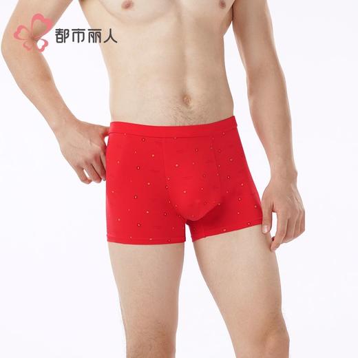 都市丽人内裤男士内裤50S棉拉架内裤氨纶头平角内裤男内裤FKHC52 商品图1