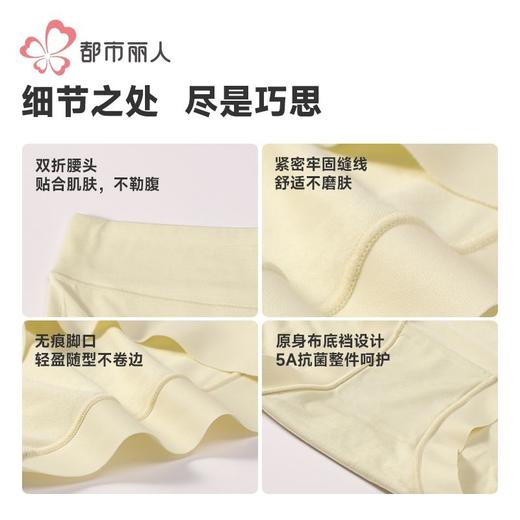 都市丽人内裤女士内裤莫代尔内裤女士平角内裤女内裤LKH5T1 商品图7