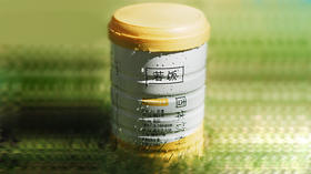 十年主食内核，AI驱动再升级