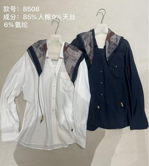 【门店同款】ENJOY秋季“城市与旷野”配丝巾衬衫 164743249 商品图3